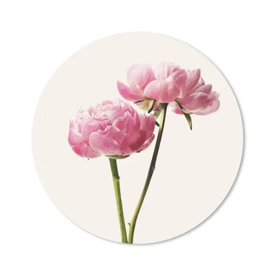 Produktbild von MuchoWow® Mauspad Mousepad Blumen - Blüte - Rosa 40x40 cm - Mousepads - Maus Mat - Pad - Mausunterlage - Schreibtisch Accessoires