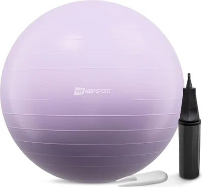 Obrázek produktu pro Gymnastický míč s pumpou 65 cm růžový