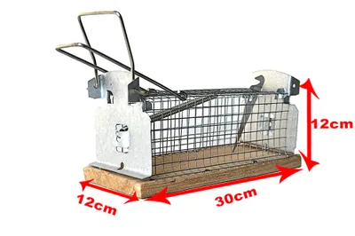 A metal and wood live trap for rodents, with dimensions indicated.