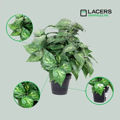 Produktbild von Lacers SMARAGDLINE künstliche Pothos Pflanze 45cm - 2er Pack - Dekorative Kunstpflanzen wie echt wirkend für Wohnzimmer, Schlafzimmer & Büro