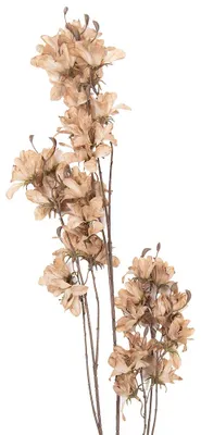 Immagine prodotto di Clayre & Eef Fiore artificiale 120 cm Beige Plastica