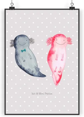 Produktbild von Mr. & Mrs. Panda Bild Axolotl Freundin DIN A4 - Grau Pastell - Geschenk, wanddeko, Liebe, Kunstdruck, Plakat, glücklich, Wandbild, drucke, Lurch