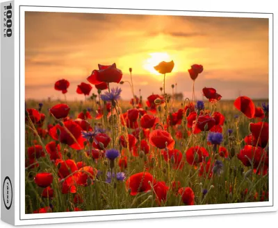 Image de puzzle premium raxxa "Coquelicots d'été", 1000 pièces
