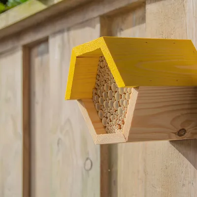 Image de Maison à abeilles hexagonale
