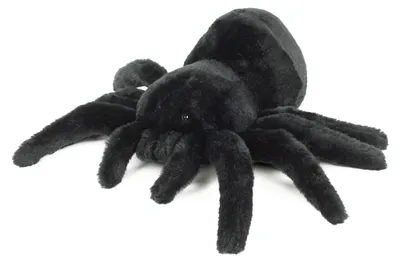 Produktbild von Kuscheltier Vogelspinne schwarz 40 cm Plüschspinne