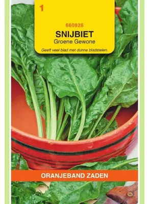 Productafbeelding van Oranjebloem Mangold 'Gruener Schnitt' (eeuwige spinazie) - 1 zakje zaad