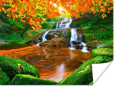 Produktbild von MuchoWow® Poster Natur - Wasserfall - Steine - Moos - Blätter - Grün 160x120 cm - Foto Plakat