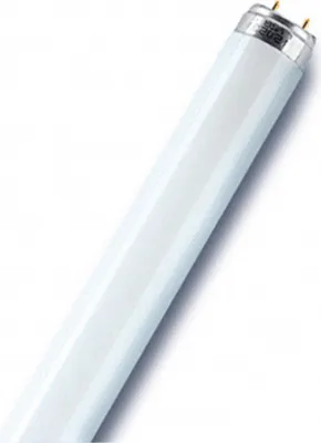 Produktbild von OSR L-Lampe L 36W-830 (-31) T8 26mm G13 Lumilux EEK G