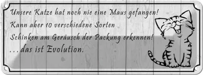 Produktbild von vianmo Blechschild 10x27 cm unsere Katze noch Maus gefangen Tier Haustier