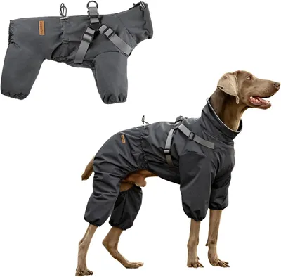 Image de Manteau de pluie pour chien - Taille 4XL - Imperméable - Réfléchissant - Gris