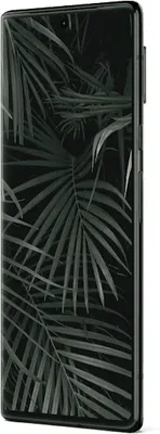 A black Google Pixel 6 Pro smartphone with a dark botanical wallpaper displayed on the screen, shown from a side angle.