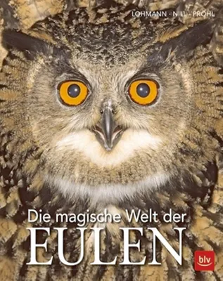 Produktbild von Die magische Welt der Eulen