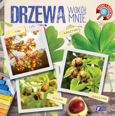 Produktbild von Drzewa wokół mnie. Rosnę i odkrywam