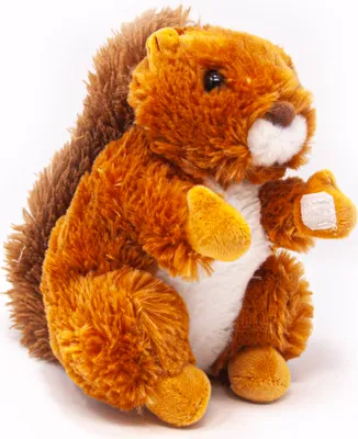 A plush toy squirrel is shown against a white background.