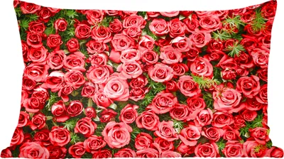 Produktbild von MuchoWow® Zierkissen Sofakissen Wohnzimmer Dekokissen 50x30 cm Rosen - Rot - Strauch - Wohnzimmerdekoration - Polster mit Photo