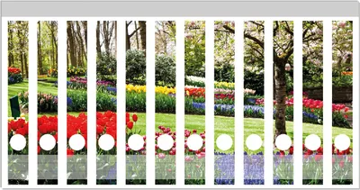 Produktbild von Wallario Ordnerrücken Sticker, selbstklebend für schmale Ordner, 12 Stück, Motiv Bunte Blumen und Kirsch-Baum im Park blühen im Frühling