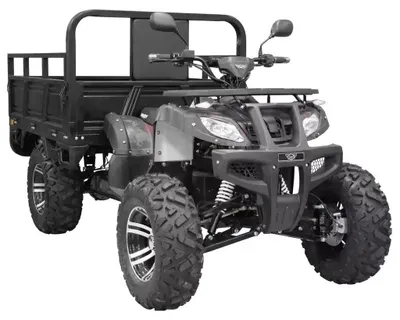 Produktbild von Elektrischer Transport-Quad Nutzfahrzeug-Quad mit Kippmulde 3000 W