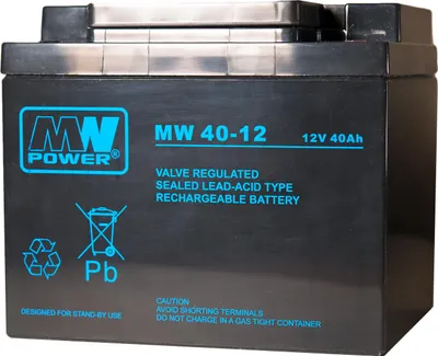 Obrázok produktu pre MW 40-12: AGM batéria 12V/40Ah 198*166*171 (T16)
