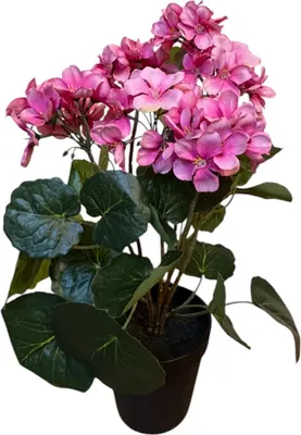 Image de Plante artificielle Pélargonium rose 42 cm