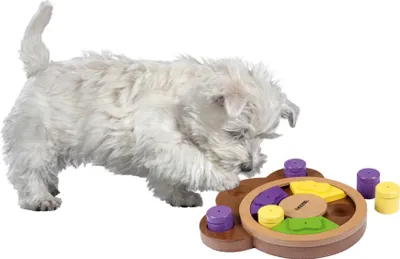 Produktbild von Kerbl Pet 82260 Denk- und Lernspielzeug – Paw, 22.5 x 23.5 x 4 cm