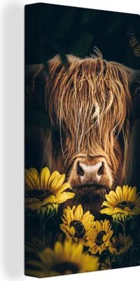 Zdjęcie produktu dla MuchoWow® - Obraz na płótnie - Szkocki góral - Kwiaty - Krowa - Botaniczne - Zwierzęta, fototapeta, dekoracja ścienna, obrazy do salonu, 20x40cm