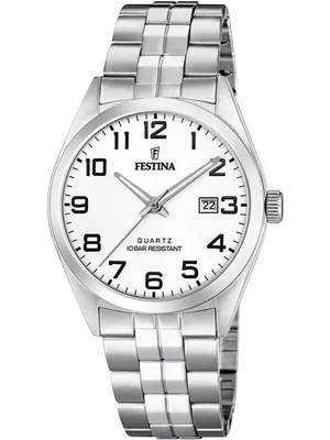 Obrázek produktu pro Pánské hodinky Festina F20437-1 stříbrné