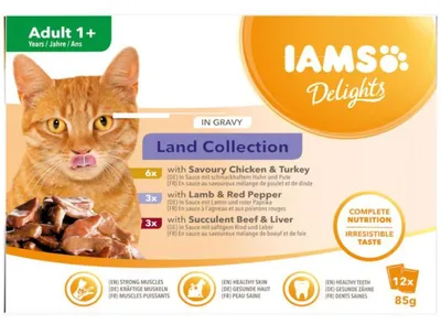 Image de Iams Cat viande terrestre sèche en sauce multipack 12x85g
