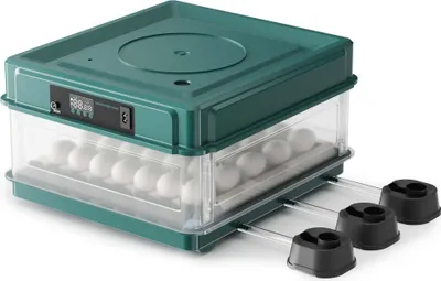 Produktbild von Fudajo Vollautomatischer Flächenbrüter für 30 Eier, Inkubator 40 W mit Wendesystem, Brutautomat mit Temperatursteuerung und Feuchtigskeitsregulierung, Brutkasten zum Eier ausbrüten