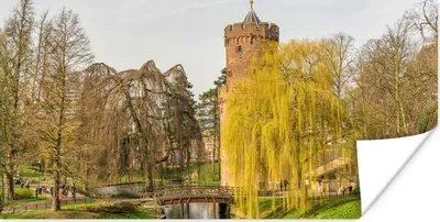 Produktbild von MuchoWow® Poster Wasser - Baum - Nijmegen 40x20 cm - Poster für die Wand - Poster Schlafzimmer