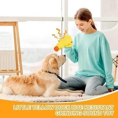 Obrázek produktu pro Pískací hračka pro psy – interaktivní hračka proti stresu