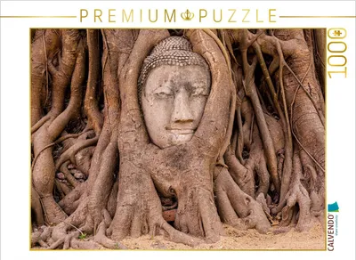 Produktbild von CALVENDO Puzzle Ayutthaya | 1000 Teile Lege-Größe 64 × 48 cm Foto-Puzzle für glückliche Stunden