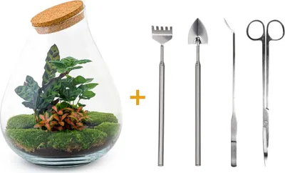 Produktbild von Flaschengarten - Drop XXL Rot - Ökosystem mit Pflanzen im Glas - ↑ 43 cm