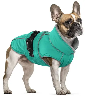 Immagine prodotto di Cappotto impermeabile per cani, caldo, in pile, colore turchese, taglia M