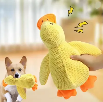 Produktbild von 2er-Set Plüsch-Begleiter-Schlafente-Hundespielzeug für kleine und große Hunde, S und M