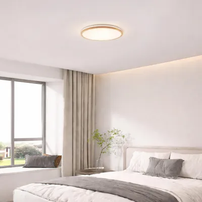 Produktbild von LED Deckenlampe, Ø 52 cm, 36 W, 4500 lm, dimmbar, Fernbedienung, CCT