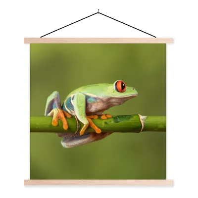 Produktbild von MuchoWow® Textilposter Rotäugiger Quecksilberfrosch auf Bambus 40x40 cm mit holzfarbenen Rahmen - Posterleiste