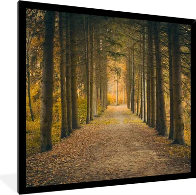 Produktbild von MuchoWow® Gerahmtes Poster Pfad - Bäume - Wald 40x40 cm - Poster mit Schwarzem Bilderrahmen Wandposter Rahmen Foto Bilder - Mit Rahmen - Wanddekoration Schlafzimmer