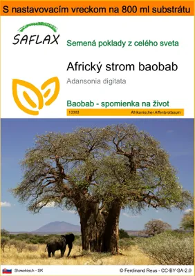 Obrázok produktu pre SAFLAX Garden in the bag - Africký strom baobab - Adansonia digitata - 6 Semená - S pestovateľským substrátom v praktickom samostaviteľnom vrecku