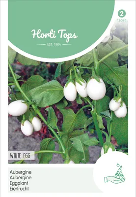Artikelbild 2 von 'Eierfrucht White Eggs' aus der Kategorie Auberginensamen