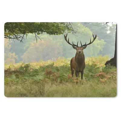 Produktbild von MuchoWow® Mauspad Mousepad Rothirsch - Natur - Grün 27x18 cm - Mousepads - Maus Mat - Pad - Mausunterlage - Büroartikel - Desk Matten