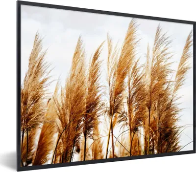 Produktbild von MuchoWow® Gerahmtes Poster Pampasgras - Sonne - Gras 40x30 cm - Poster mit Schwarzem Bilderrahmen Wandposter Rahmen Foto Bilder - Kunstposter - Wanddekorationen