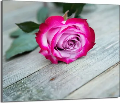 Produktbild von Herdabdeckplatte 60x52 Glaskeramikkochfeld Abdeckung Spritzschutz Glasplatte Deko Schneidebrett, Rose Holz