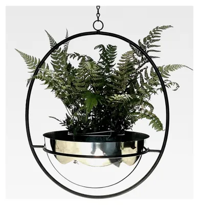 Produktbild von Blumenampel Innen Metall Wand Hängepflanzen 78 cm mit Topf Silber
