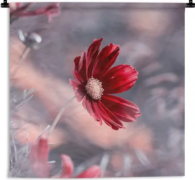 Produktbild von MuchoWow® Wandteppich Wandbehang Blumen - Rot - Natur - Pflanzen 60x60 cm Tapisserie Dekoration Wandtuch - Dekorationen - Wand Decke
