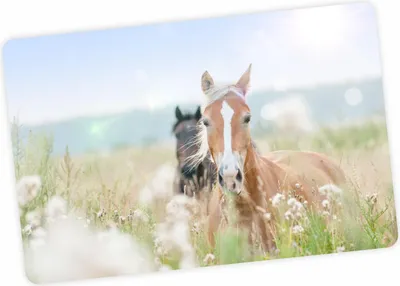 Produktbild von stabile Vinyl Schreibtischunterlage Pferde Bastelmatte Kinder Platzset abwaschbar