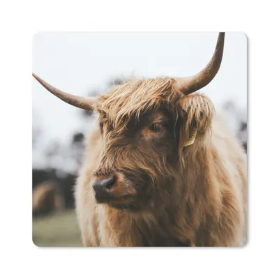 Produktbild von MuchoWow® Mauspad Mousepad Schottischer Highlander - Tiere - Hörner 30x30 cm - Mousepads - Maus Mat - Pad - Mausunterlage - Gaming
