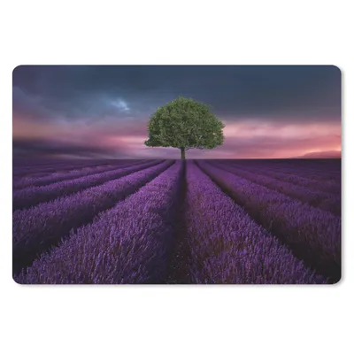 Produktbild von MuchoWow® Schreibtischunterlage Lavendel - Baum - Lila 60x40 cm - XXL Mauspad - Großes Mauspad
