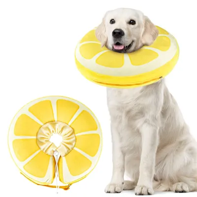 Immagine prodotto di Collare gonfiabile per cani e gatti con cordino