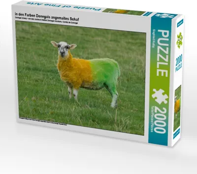 Produktbild von Calvendo in den Farben Donegals angemaltes Schaf 2000 Teile Puzzle quer 900x670mm, Kuttig Siegfried; 7397967