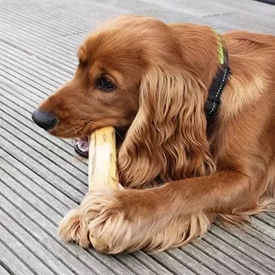 Produktbild von Veganer Kaustab Kaffeeholz für Hunde Hundespielzeug Holz Kauwurzel Kauknochen Größe M